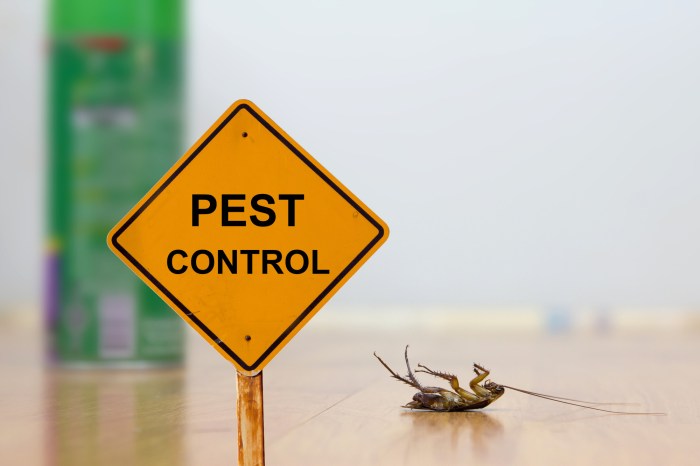 Diy home pest control