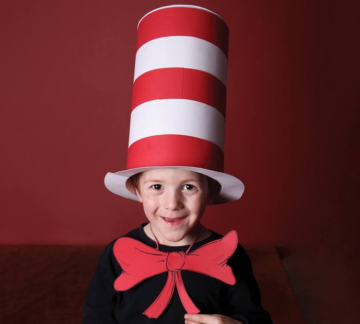 Diy cat in the hat hat