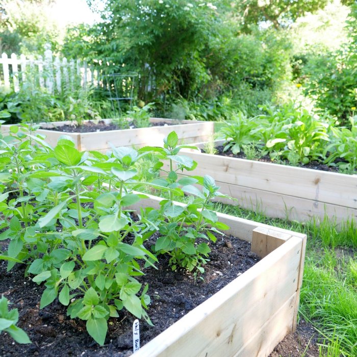 Diy herbal garden