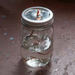 Diy mason jar lamp