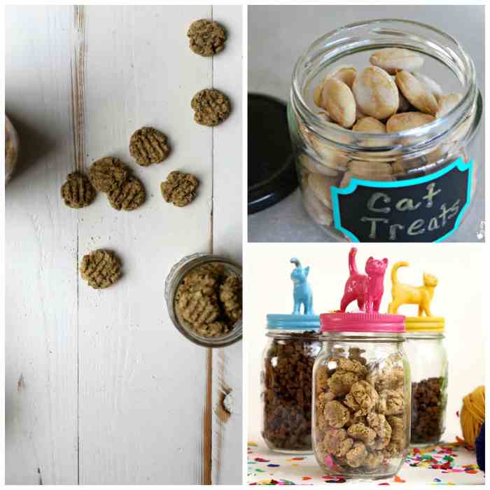 Diy cat treats