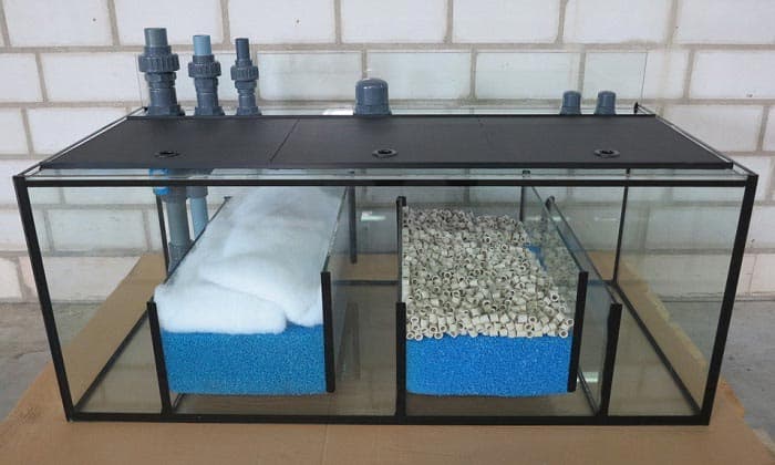 Diy aquarium sump