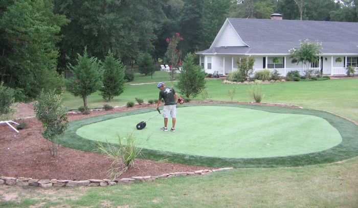 Diy backyard putting green