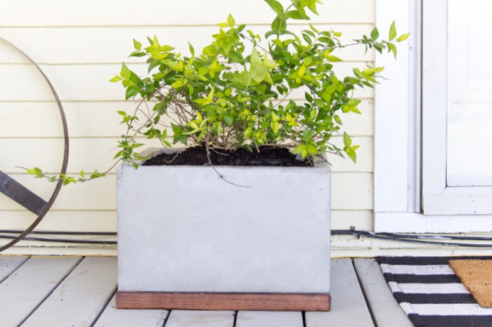 Concrete planters diy