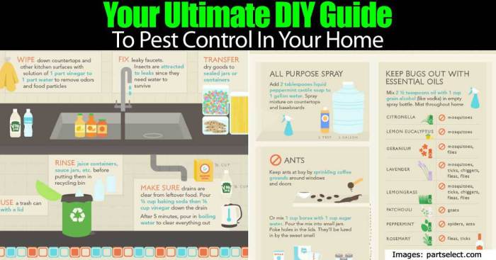 Diy home pest control