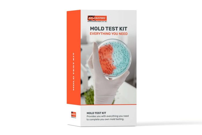 Diy mold test kit