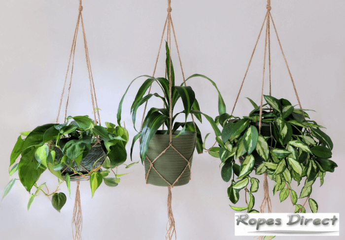 Diy hanging basket